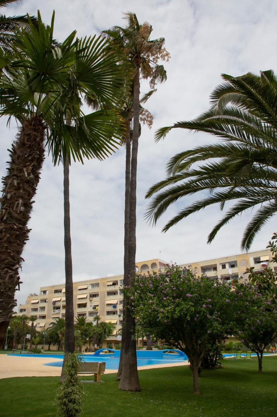 Jamaica Beach House Puebla de Farnals Dış mekan fotoğraf